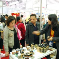 Western-China-Exhibition